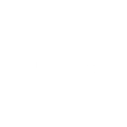 VIP Chauffeurs
